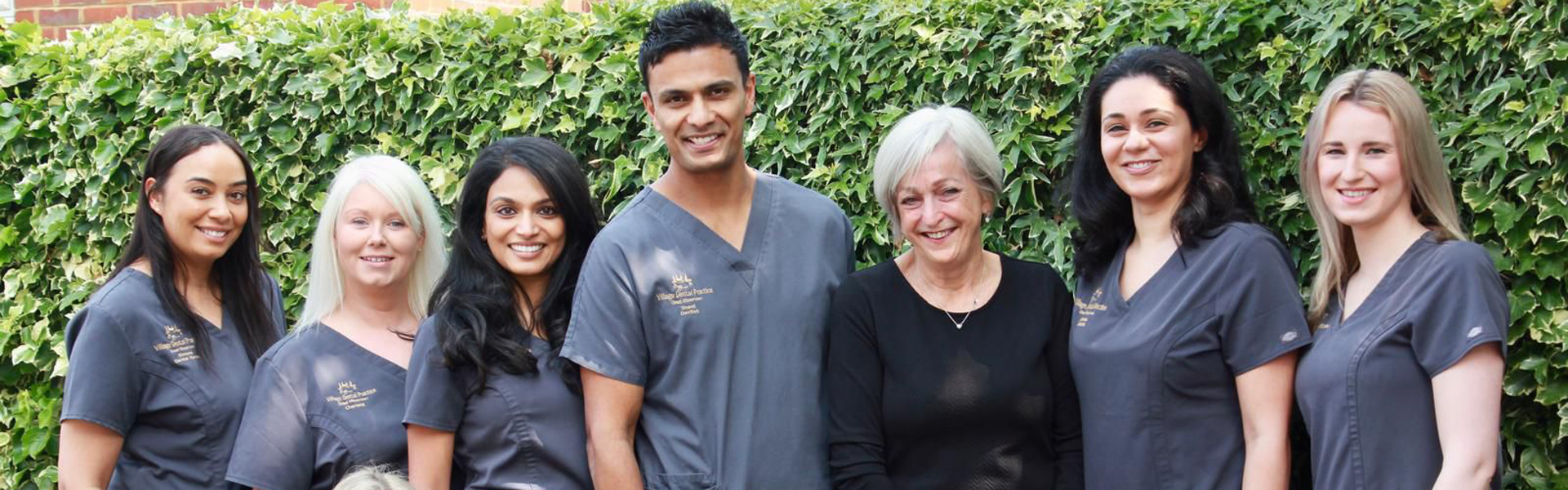 Meet the Team
